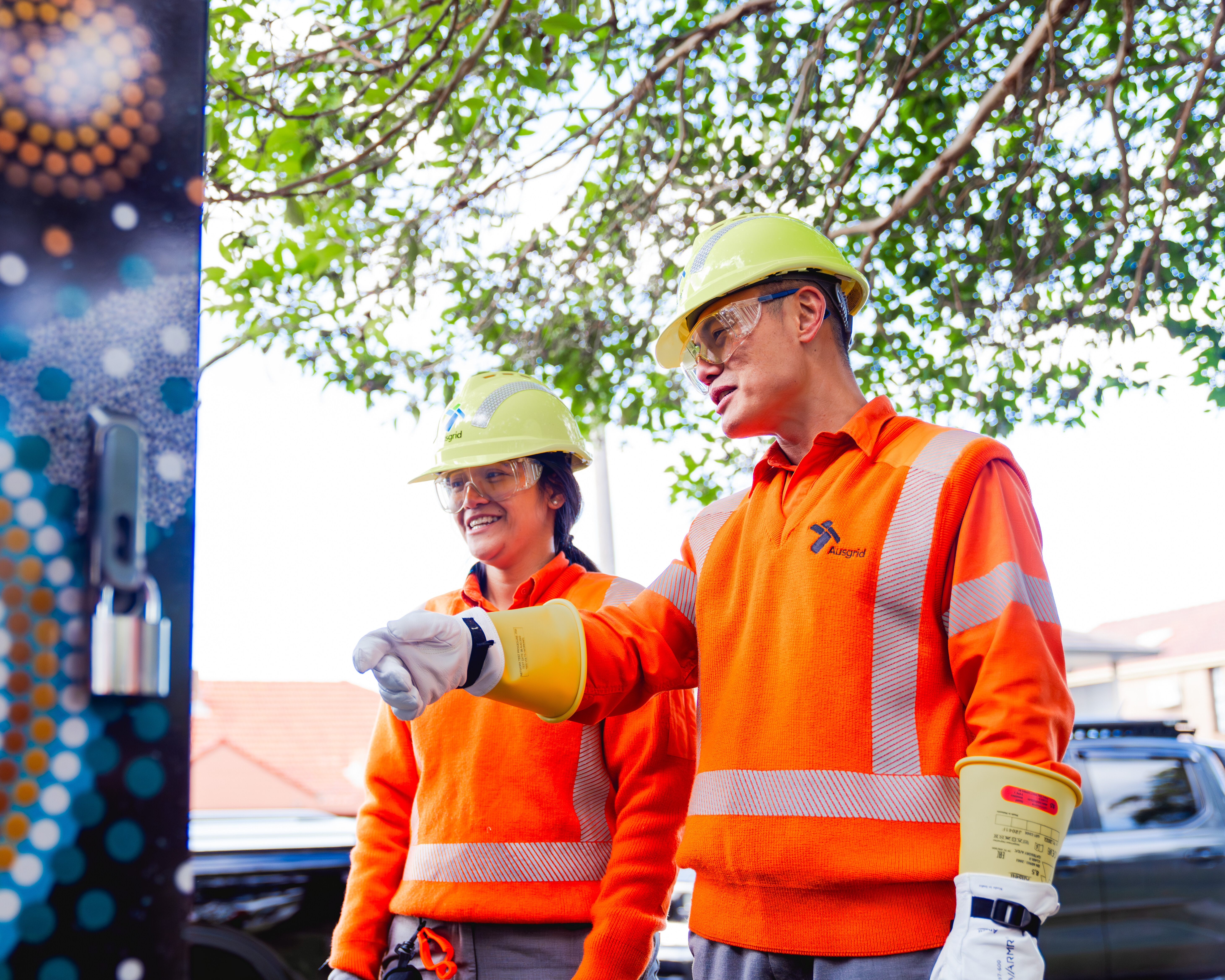 ausgrid community battery field workers