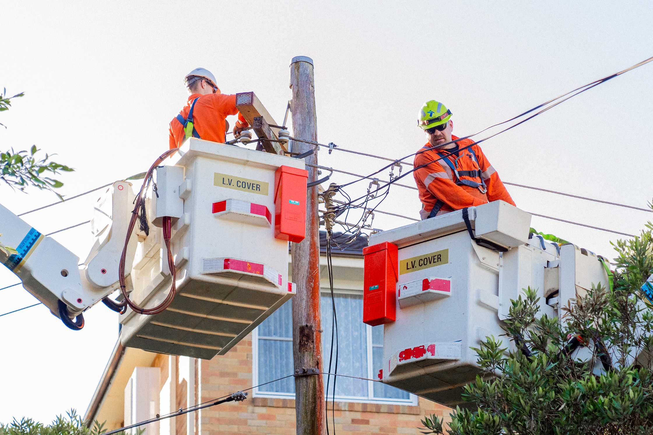 Two Ausgrid field workers in crane fixing electricity pole.