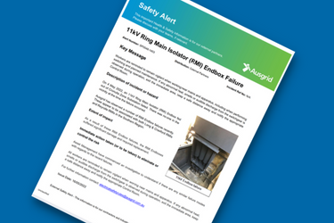 Safety Alert Image - 11kV Ring Main Isolator (RMI) Endbox Failure