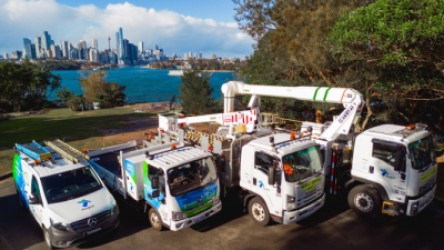 Ausgrid electric vehicle fleet