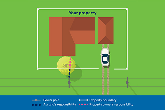 Scenario 1: Tree on your own property