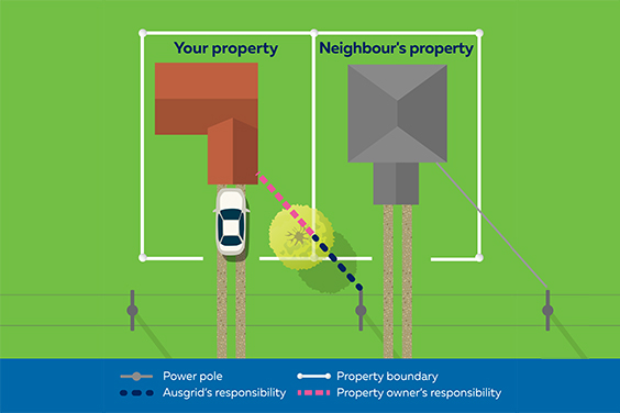 Scenario 5: Tree on your property impacts both your and your neighbour's service wire