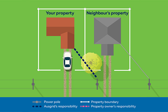 Scenario 4: Tree on a neighbouring property