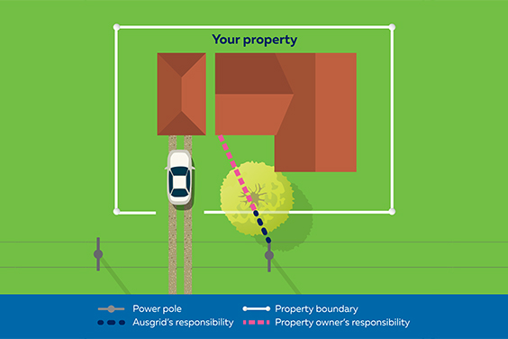 Scenario 3: A tree on your own property is growing into service wires in the council strip