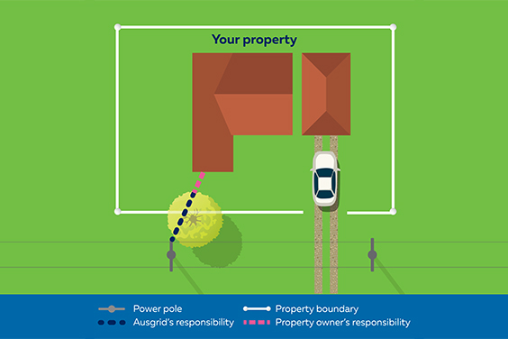 Scenario 2: Tree on the verge or footpath