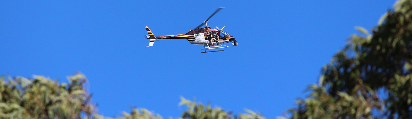Bushfire Helicopter Patrols flying over trees