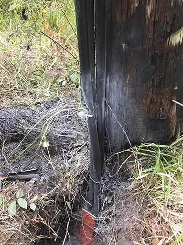 damaged powerpole from attempted copper theft