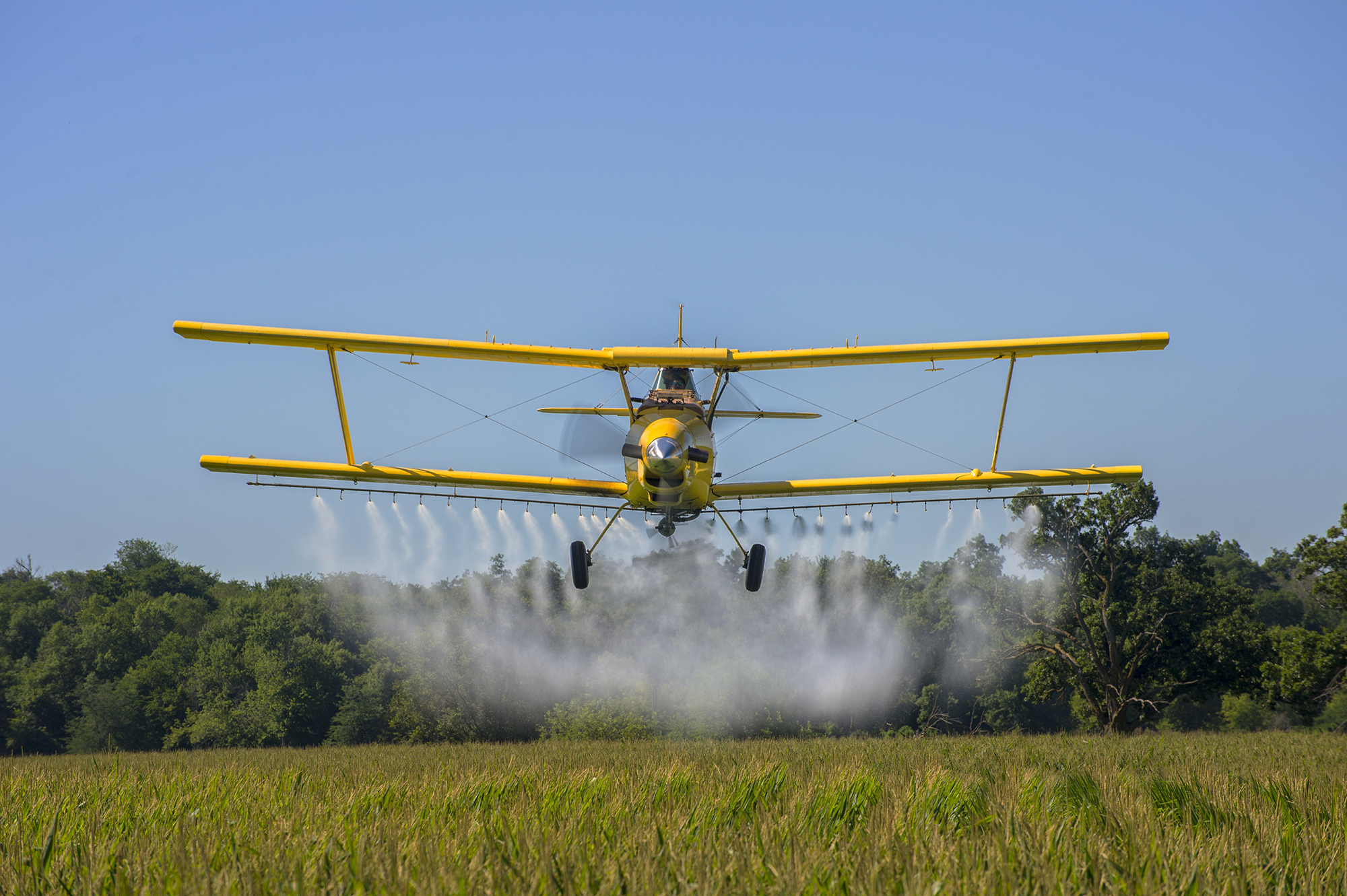 A crop duster applies chemicals to a field of vegetation.
