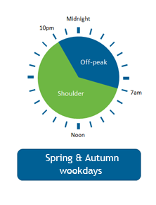 Time of use Metering - Businesses - Spring and Autumn Weekdays